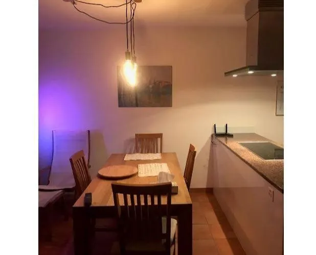 Mit Garten Und Pool In 阿斯科纳